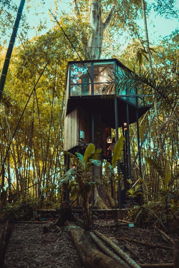 Amanatu Ecolodge & Spa Quimbaya Luaran gambar