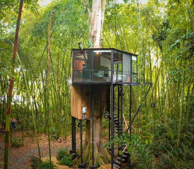 Amanatu Ecolodge & Spa Quimbaya Luaran gambar