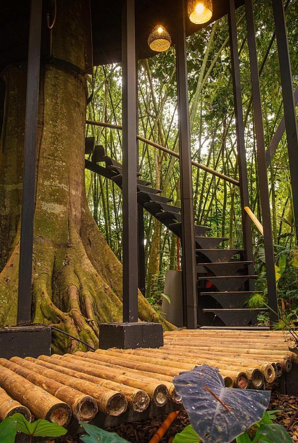 Amanatu Ecolodge & Spa Quimbaya Luaran gambar